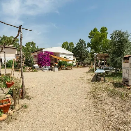 مكان تخييم Romance Tent In The Eucaliptus