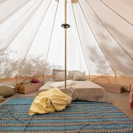 Romance Tent In The Eucaliptus *