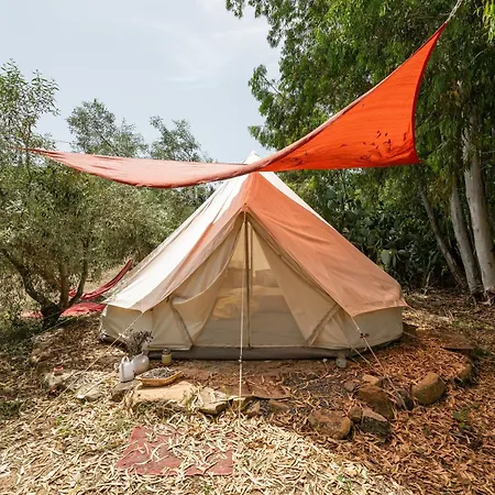 Romance Tent In The Eucaliptus Capitana