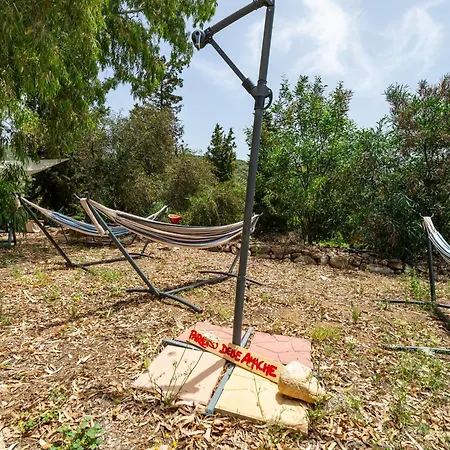 Romance Tent In The Eucaliptus * Capitana