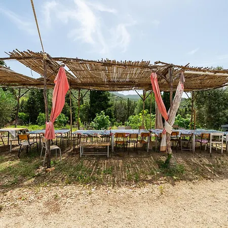 Campingplads Romance Tent In The Eucaliptus *