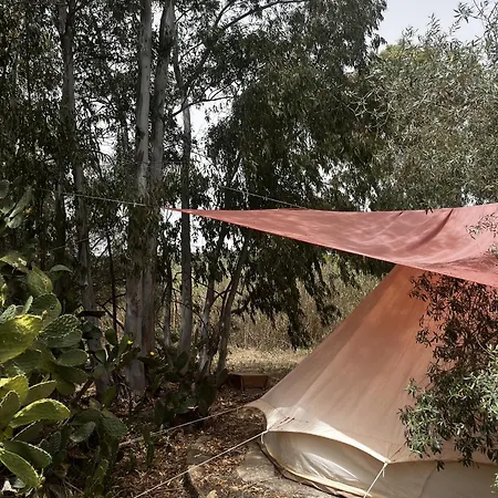 Campingplads Romance Tent In The Eucaliptus *