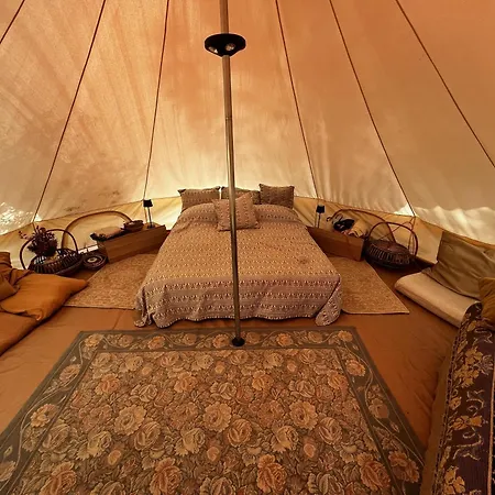 Campingplads Romance Tent In The Eucaliptus